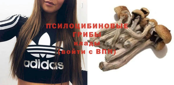 ешки Няндома