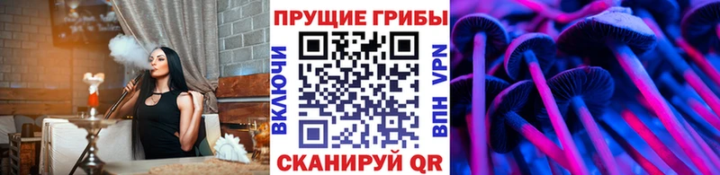 цена наркотик  Истра  Псилоцибиновые грибы ЛСД 