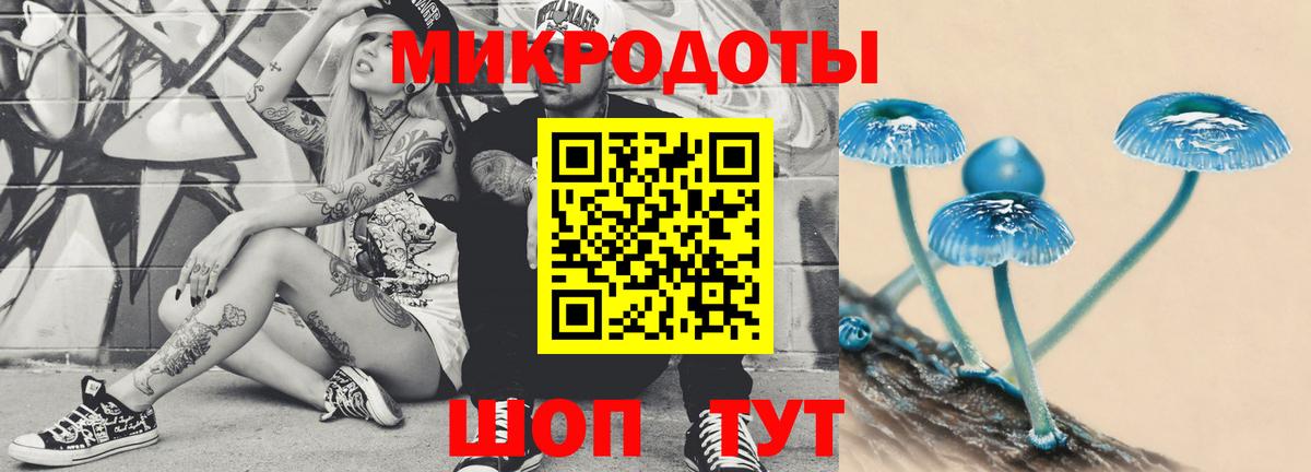 Псилоцибиновые грибы Cubensis  Вход с VPN  Истра 
