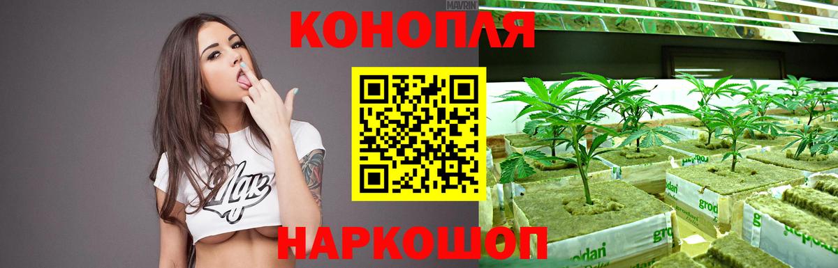 Канабис тримм Истра